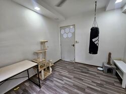Blk 259A Punggol Topaz (Punggol), HDB 4 Rooms #530996351